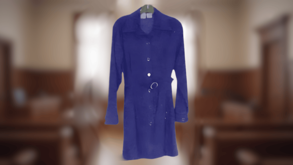 monica lewinsky dress