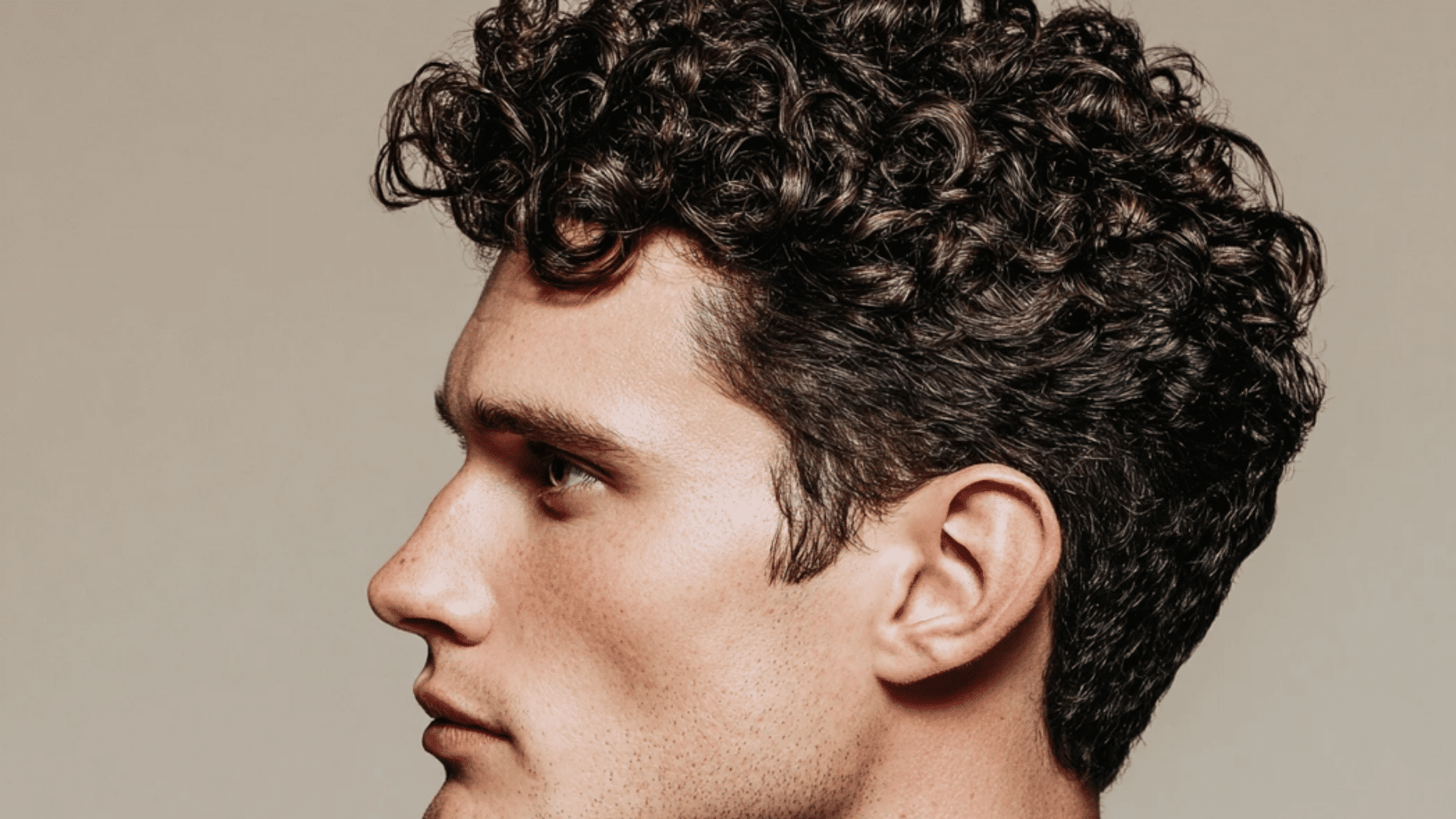 Curly Gentleman's Cut
