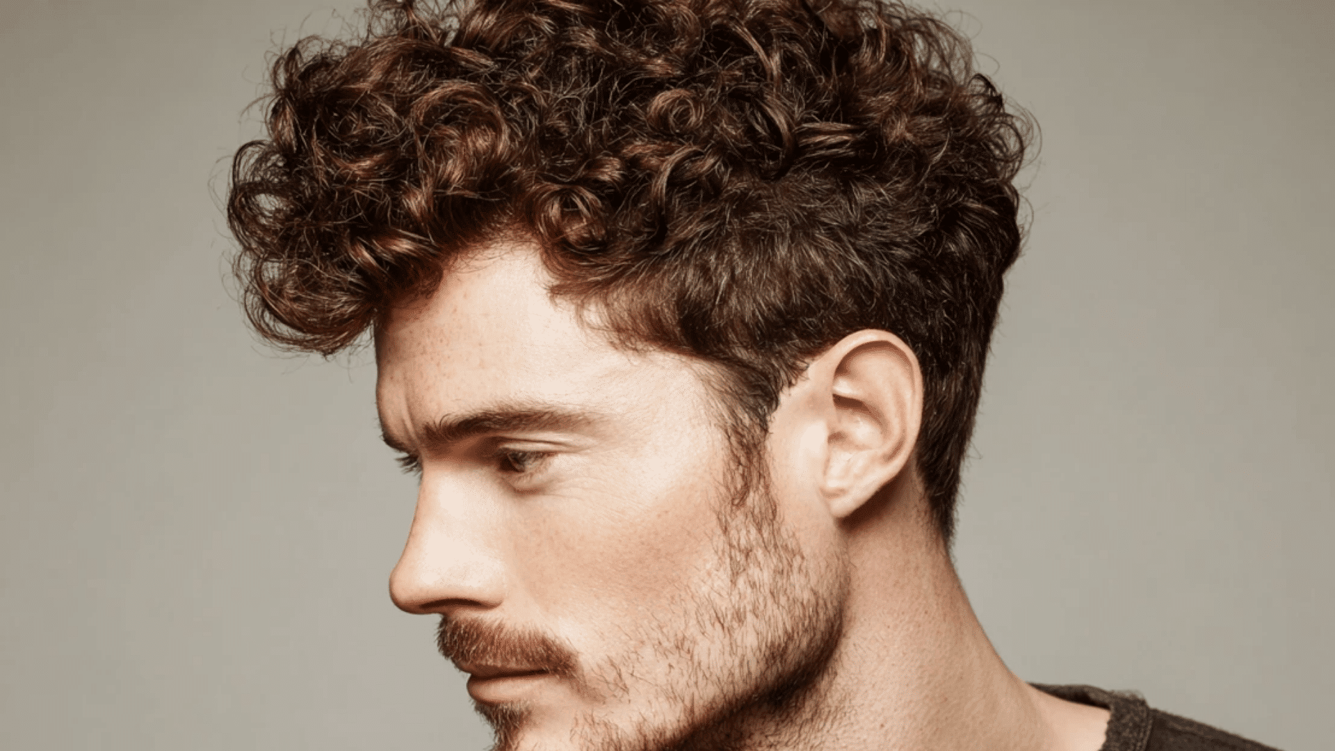 Curly Pompadour