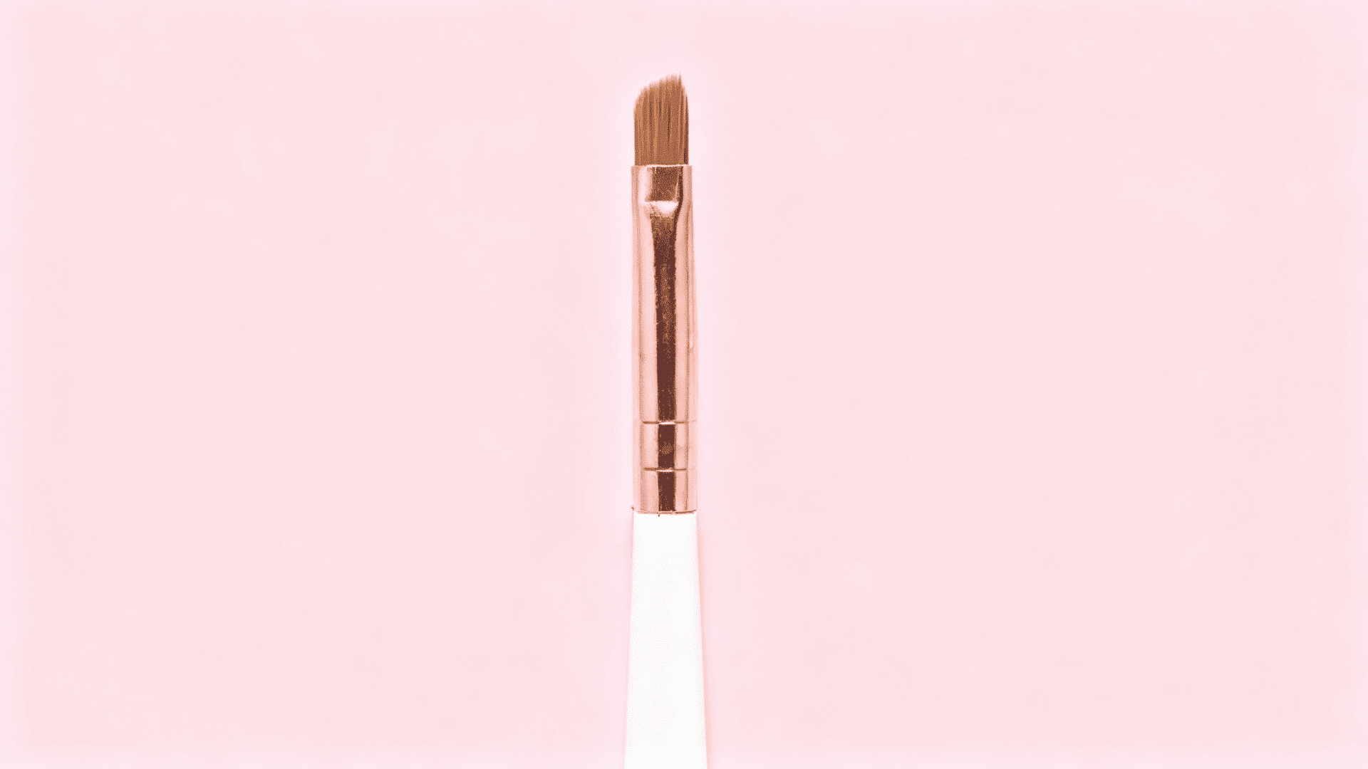 lip brush