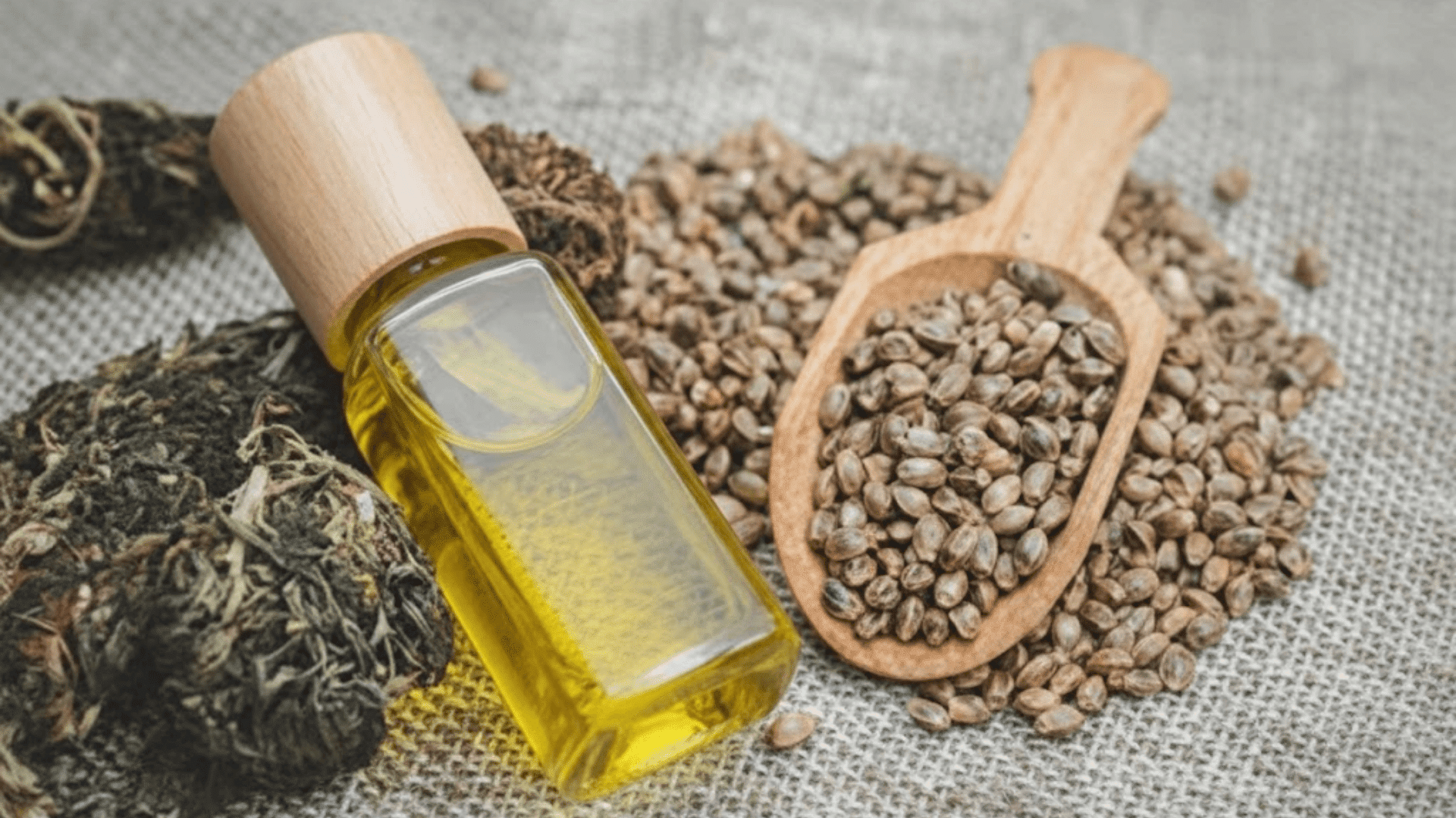 Hemp Seed Oil