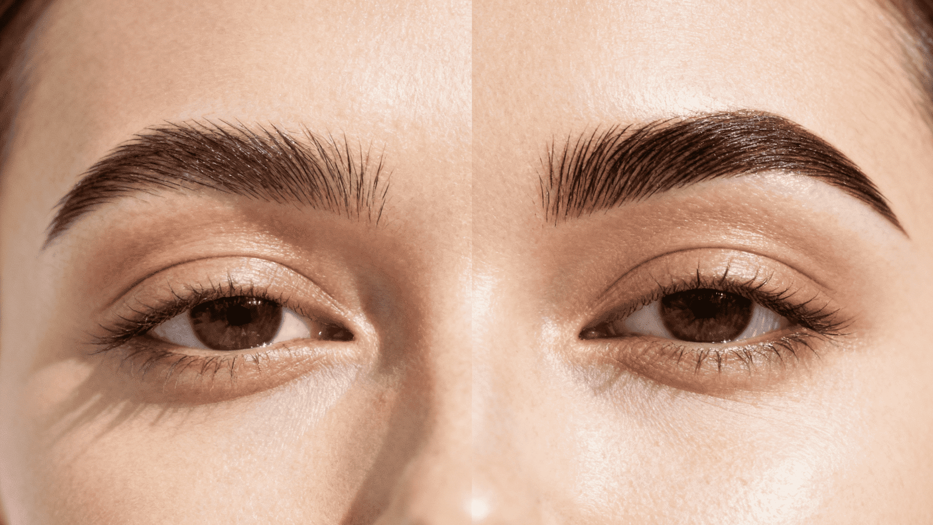 brow tint before and after what really changes