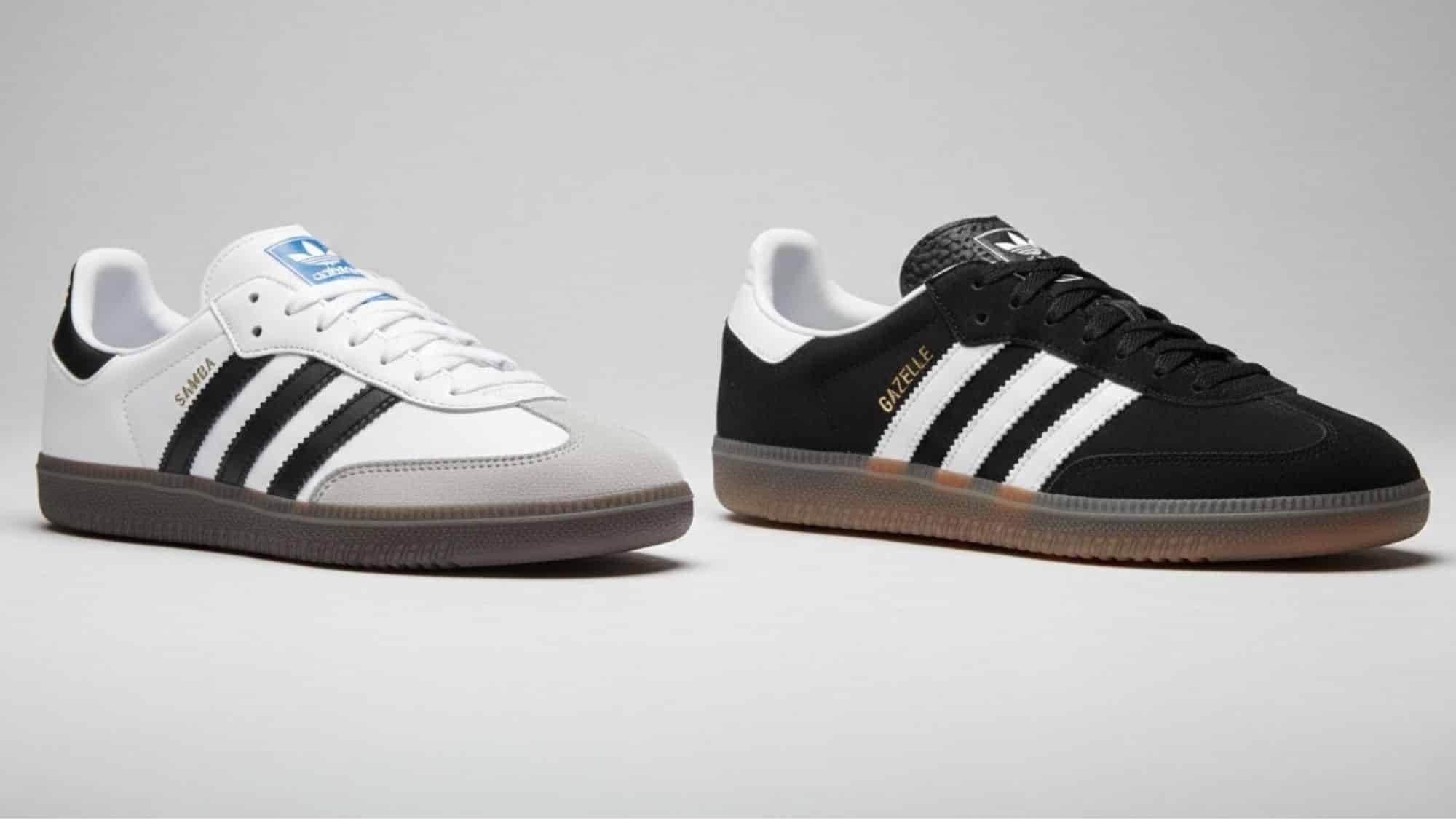 gazelle and samba
