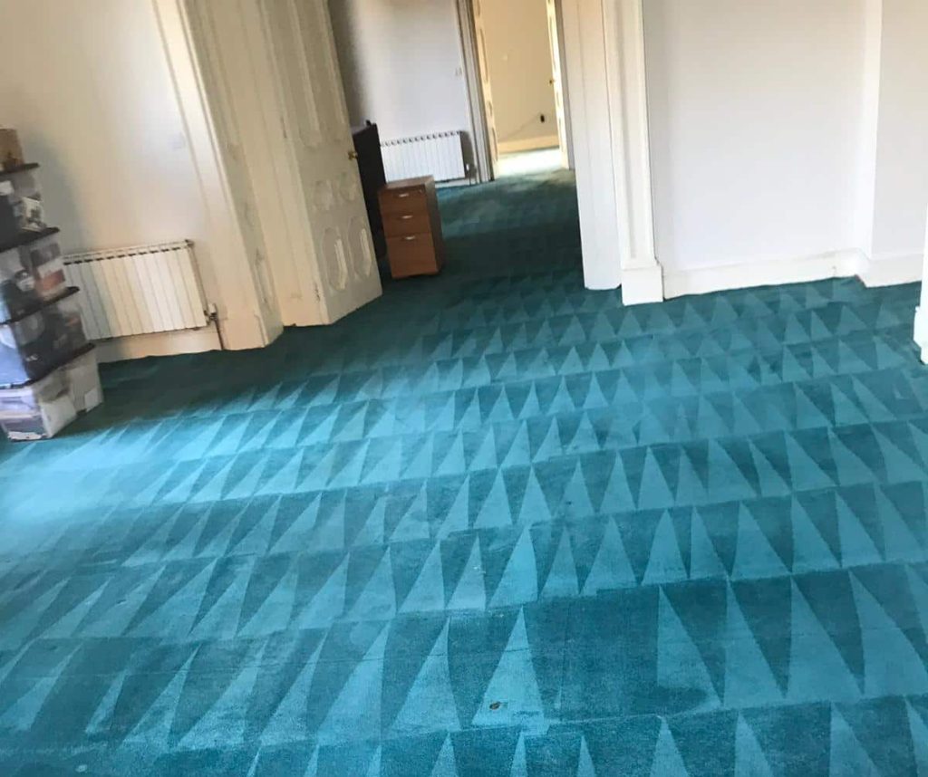 Bring Your Carpets Back to Life