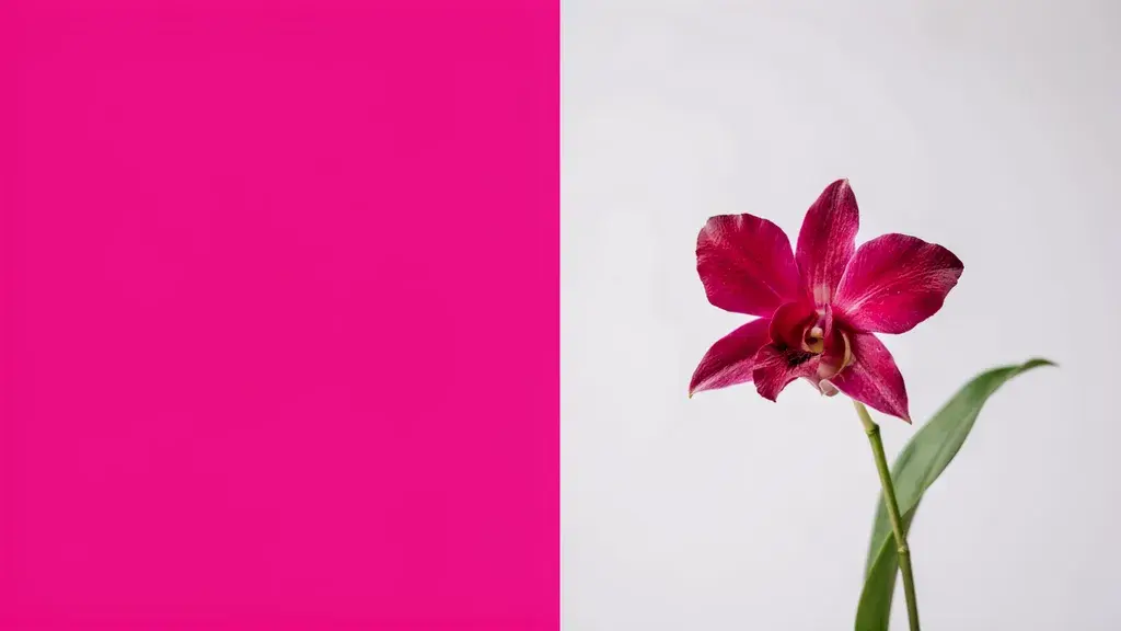 Vibrant Fuchsia color with fabric texture, highlighting 2026 spring fashion hues.