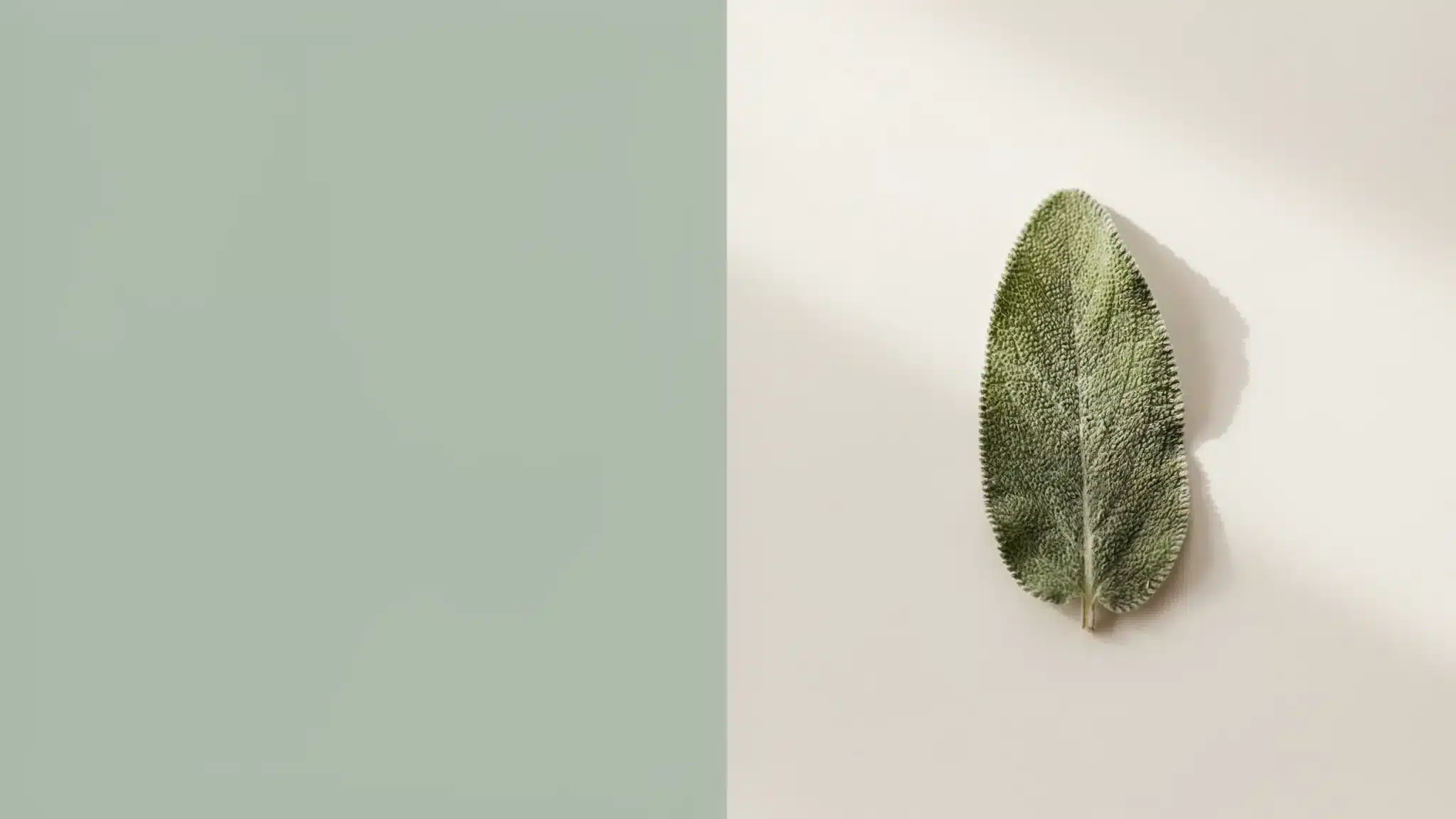 Sage Green color with soft texture, reflecting 2026 spring fashion palette.