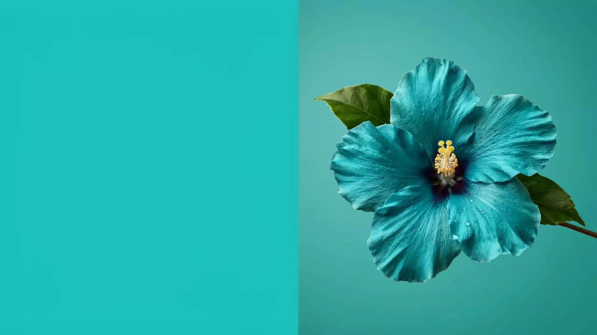 Bright turquoise color represented in fabric fold, illustrating 2026 trends.